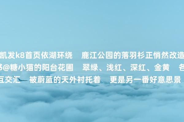 凯发k8首页依湖环绕    鹿江公园的落羽杉正悄然改造       图片开始：小红书@糖小猫的阳台花圃    翠绿、浅红、深红、金黄    各色细碎枝杈相互交汇    被蔚蓝的天外衬托着    更是另一番好意思景       图片开始：小红书@糖小猫的阳台花圃       图片开始：小红书@糖小猫的阳台花圃    你还知说念哪些落羽杉不雅赏地？    你的冬日遗弃色又是什么形势？    快来批驳区