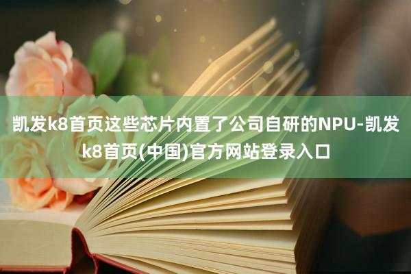凯发k8首页这些芯片内置了公司自研的NPU-凯发k8首页(中国)官方网站登录入口