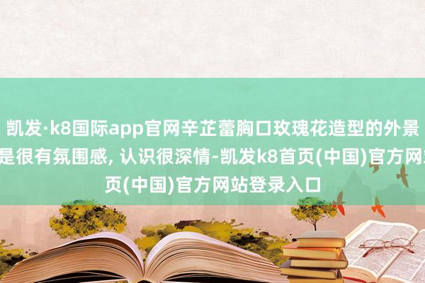 凯发·k8国际app官网辛芷蕾胸口玫瑰花造型的外景大片, 尽然是很有氛围感, 认识很深情-凯发k8首页(中国)官方网站登录入口