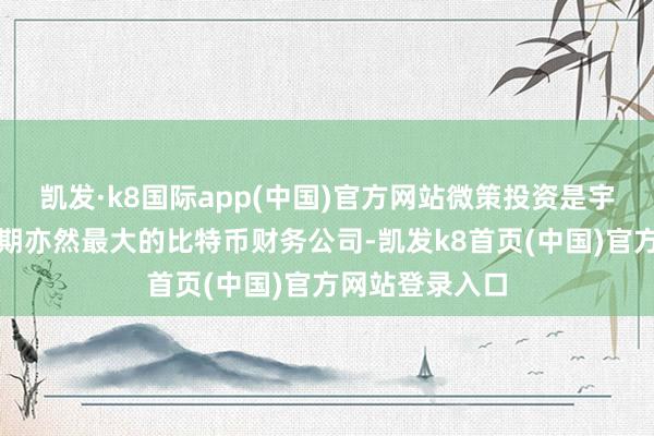 凯发·k8国际app(中国)官方网站微策投资是宇宙上第一家同期亦然最大的比特币财务公司-凯发k8首页(中国)官方网站登录入口
