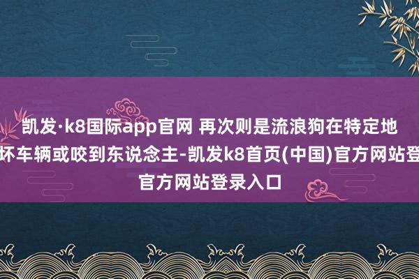 凯发·k8国际app官网 再次则是流浪狗在特定地方里咬坏车辆或咬到东说念主-凯发k8首页(中国)官方网站登录入口