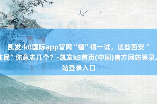 凯发·k8国际app官网“植”得一试，这些西安“原住民”你意志几个？-凯发k8首页(中国)官方网站登录入口