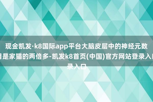 现金凯发·k8国际app平台大脑皮层中的神经元数目是家猫的两倍多-凯发k8首页(中国)官方网站登录入口