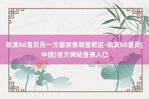 凯发k8首页另一方面探索调整靶区-凯发k8首页(中国)官方网站登录入口